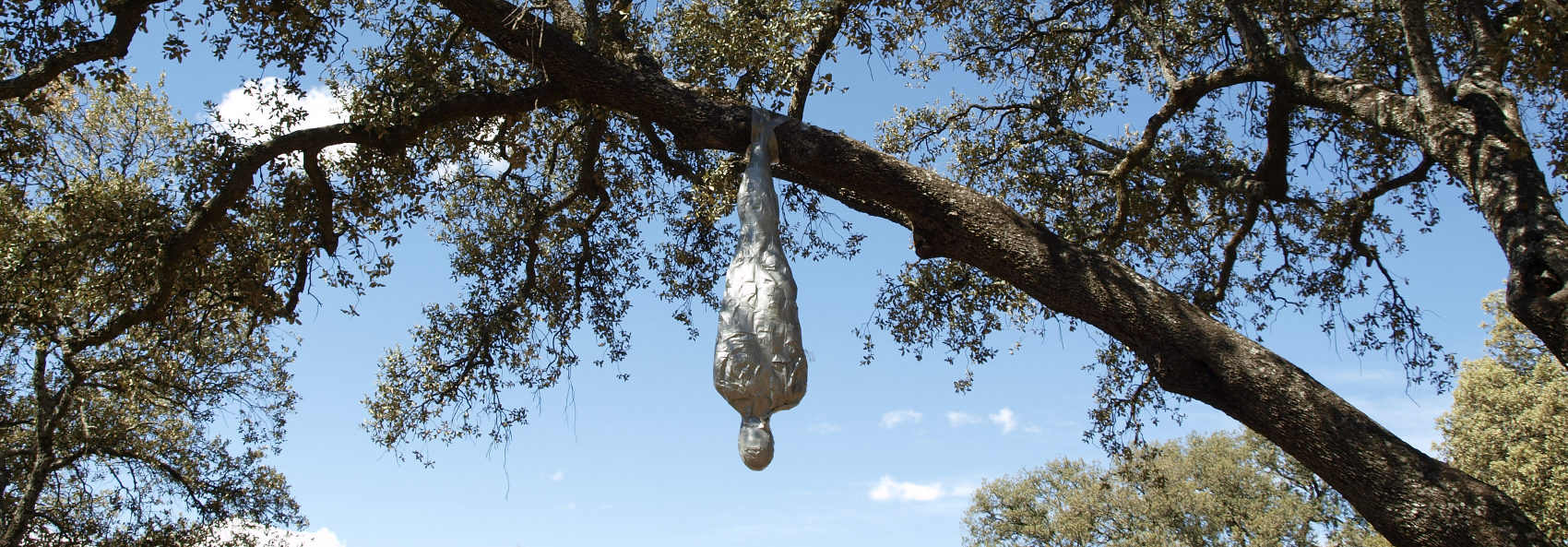 Para el hombre invisible la jaula es un lugar de paz.