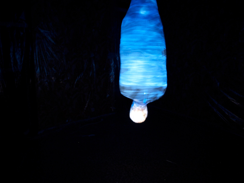 Momificación colgada