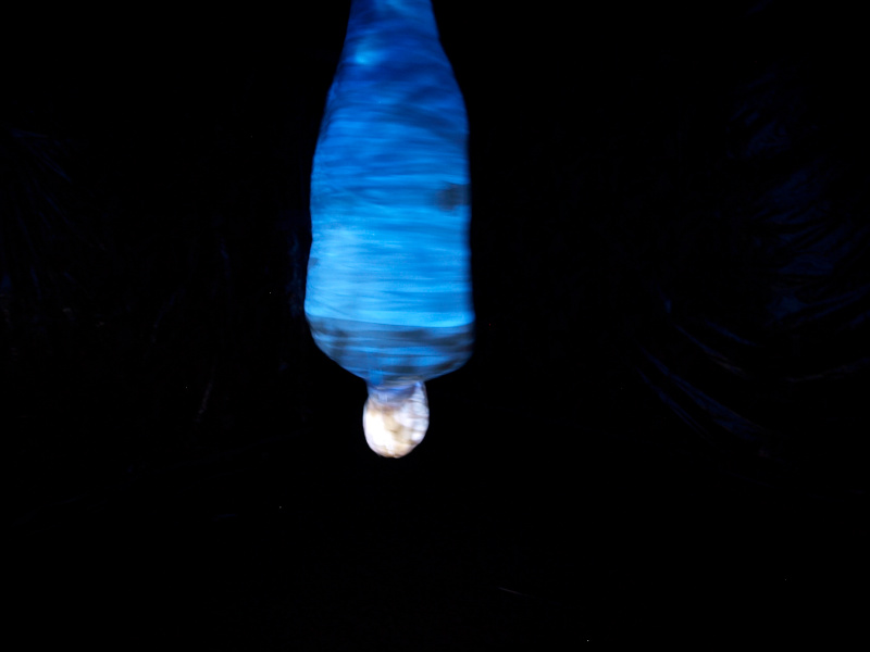 Momificación colgada