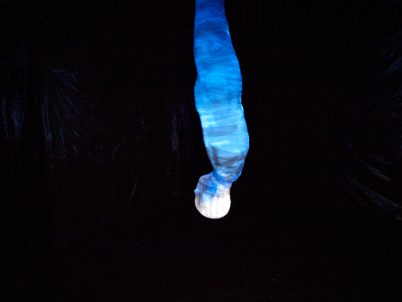 Momificación colgada